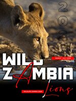 Wild Zambia Wildlife Magazine 
